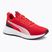 Кросівки для бігу PUMA Flyer Lite 3 puma black/for all time red