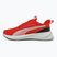 Кросівки для бігу PUMA Flyer Lite 3 puma black/for all time red
