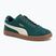 Кросівки чоловічі PUMA Club II Era Suede dark myrtle/alpine snow/gum