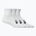 Шкарпетки ASICS Quarter 3 pairs brilliant white