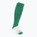 Шкарпетки Mizuno Japan green