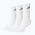 Шкарпетки чоловічі Boxraw Crew 3 szt. White