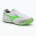 Кросівки футбольні чоловічі Mizuno Morelia Sala Elite TF white/neon green/galaxy silver