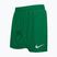 Шорти для плавання дитячі Nike Essential 4" Volley stadium green