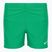 Шорти для плавання дитячі Nike Essential 4" Volley stadium green