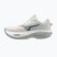 Кросівки для бігу чоловічі Mizuno Wave Rider 30 foggy dew/dark slate/white