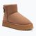 Черевики зимові жіночі O'Neill Besiana Platform Mid warm taupe