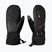 Рукавиці гірськолижні чоловічі Viking Hudson Gore-Tex Mitten black