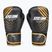 Рукавиці боксерські StormCloud Lynx black/gold