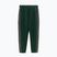 Штани чоловічі Pitbull Track Pants Powers bottle green
