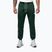 Штани чоловічі Pitbull Trackpants Tape Logo Terry Group bottle green