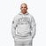 Кофта чоловіча Pitbull Badger Hooded grey/melange