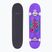 Скейт класичний Fish Skateboards Beginner Huron 8.0"