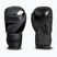 Рукавиці боксерські StormCloud Lynx 2.0 black/black