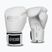 Рукавиці боксерські StormCloud Muay Thai Blizzard 2.0 white/silver