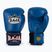 Рукавиці боксерські RAJA BOXING Single Standard Genuine Leather blue