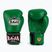 Рукавиці боксерські RAJA BOXING Single Standard Genuine Leather green