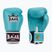 Рукавиці боксерські RAJA BOXING Single Standard Genuine Leather light blue