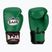 Рукавиці боксерські RAJA BOXING Single Semi Leather green