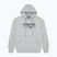 Кофта чоловіча MANTO Resolve Hoody сірий