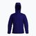 Чоловіча утеплена куртка Arc'teryx Atom Hoody soulsonic
