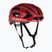 Велосипедний шолом Rudy Project Egos червона комета / чорний блискучий