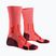 Шкарпетки чоловічі X-Socks Trailrun Perform Crew fluo red/namib red