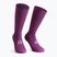 Шкарпетки велосипедні ASSOS Spring Fall Unisea alchemy purple