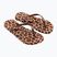 В'єтнамки жіночі Ipanema Animal Print beige/bronze/bronze