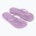 В'єтнамки жіночі Ipanema Anat Colors lilac/lilac