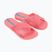 Шльопанці жіночі Ipanema Sense Slide pink/blue