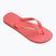 В'єтнамки Havaianas Brasil Logo tropical coral