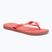 В'єтнамки Havaianas Brasil Logo tropical coral