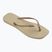 В'єтнамки жіночі Havaianas Slim Square sand grey