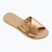 Шльопанці жіночі Havaianas Aqua Metallic golden