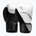 Рукавиці боксерські Hayabusa E1 Boxing white/silver