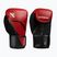 Рукавиці боксерські Hayabusa E1 Boxing red/black