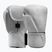 Рукавиці боксерські Hayabusa T360 Leather white