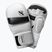 Рукавиці греплінгові Hayabusa T3 Hybrid white/black