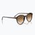 Окуляри сонцезахисні Ray-Ban Bernard havana/brown gradient