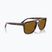 Окуляри сонцезахисні Ray-Ban RB2213 havana/brown b-15