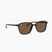 Окуляри сонцезахисні Ray-Ban Leonard tortoise/brown polarized