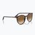Окуляри сонцезахисні Ray-Ban RB2204 havana/light brown