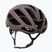 Kask bicycle KASK Protone Icon espresso brown matt