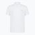 Футболка поло чоловіча EA7 Emporio Armani Core Identity Polo white / silver logo