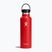 Пляшка туристична Hydro Flask Standard Flex 620 ml goji