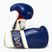 Боксерські рукавички Rival Impulse Sparring navy