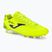 Бутси футбольні чоловічі Joma Aguila FG lemon fluor