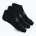 Шкарпетки чоловічі SKECHERS Microfiber Non Terry No Show 3 пари black/white
