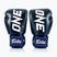 Боксерські рукавички Fairtex ONE X Fairtex сині